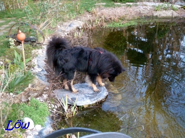 24.3.2019 - Scheint nur Wasser zu sein